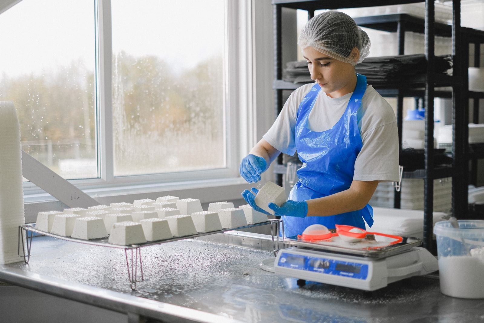 A food production worker in a hairnet, blue apron and gloves weighing products at a stainless steel bench